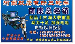 双鹰电动车图片