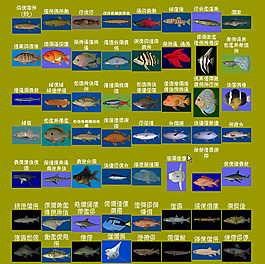 所有海鱼类图片和名字图片