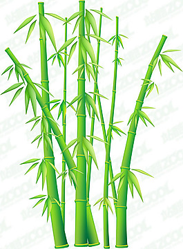 翠绿的竹子矢量素材