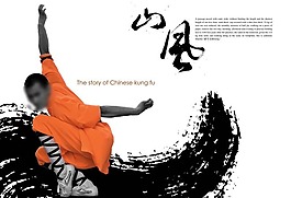 功夫 打拳