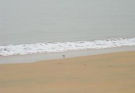 海边海滩图片