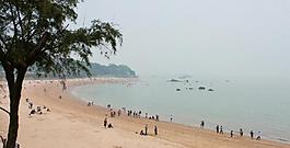 厦门大学 海滩图片
