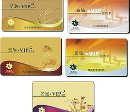 vip卡图片