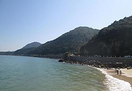 杨梅坑图片