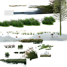 PSD装修设计水生植物素材