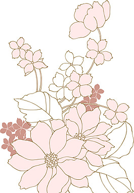 矢量牡丹 牡丹花