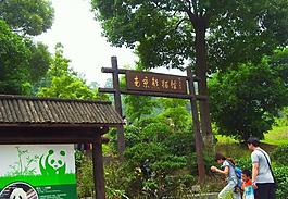 南京熊猫馆图片