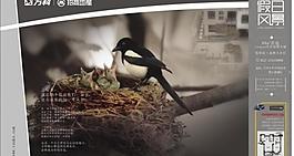 万科地产图片