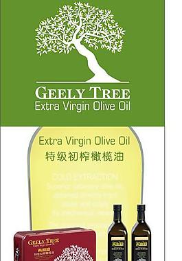 橄榄油x展架图片