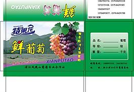 小葡萄箱设计图片
