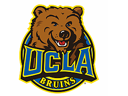 动物图标 熊猫 标志