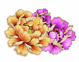 牡丹花