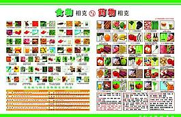 食物相克图图片