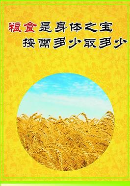 粮食是身体之宝图片