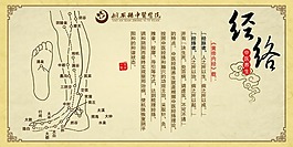 中医经络