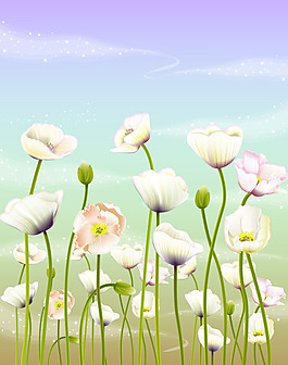 生机