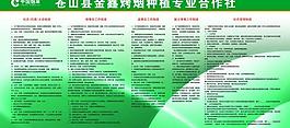 烟草制度图片