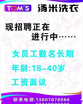 汤米洗衣图片