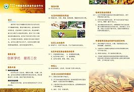 金融三折页图片