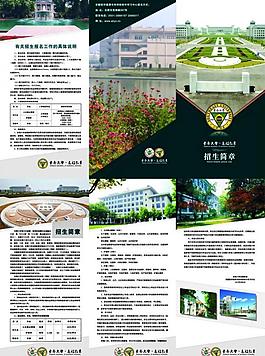 东南大学三折页图片