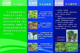 扑力猛三折页图片