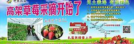 草莓广告图片