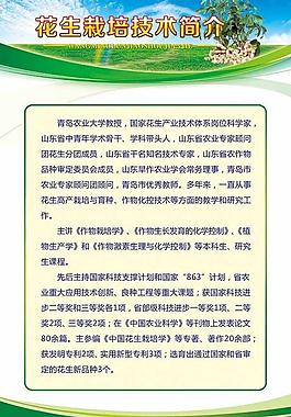 展板设计模板 花生图片