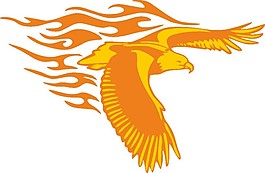 火焰展翅的老鹰图片