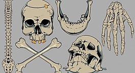 欧美t恤花纹图片