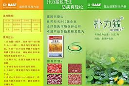 扑力猛三折页正图片