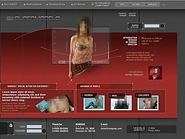 超级模特flash动画