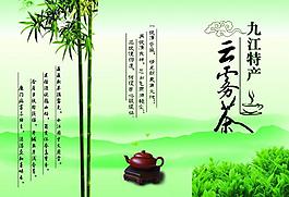 云雾茶图片