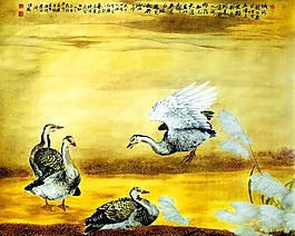 高清国画素材工笔花鸟天鹅