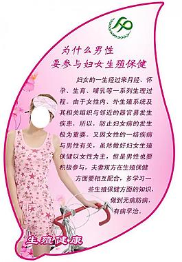 生殖版面图片