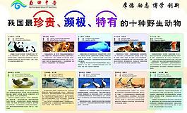 频临动物图片