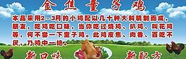 童子鸡图片