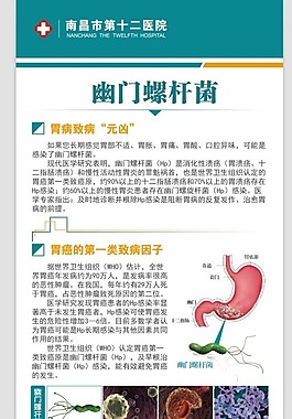 胃肠科医院展板