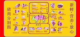 猪肉分割图图片