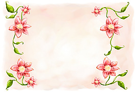 红色花朵明信片背景模板