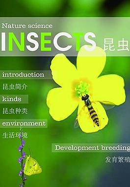 科普杂志封面设计图片