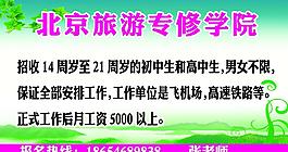旅游 招生图片
