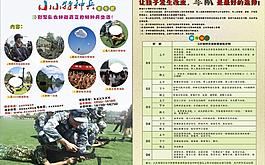招生宣传单图片