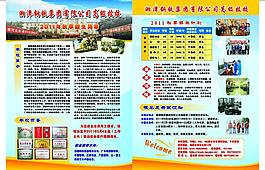 招生简介图片