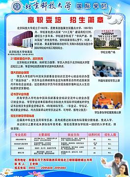 学校招生简章图片