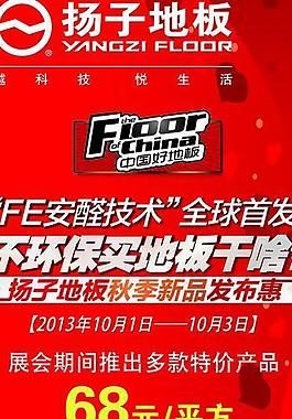 扬子地板图片