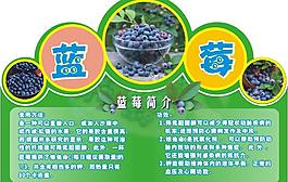 蓝莓吊牌图片