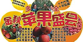 苹果 异型 吊牌图片