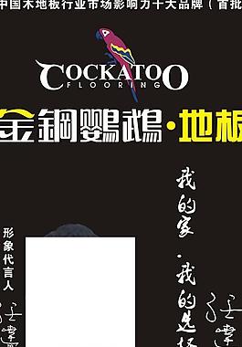 金钢鹦鹉地板图片