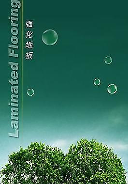 强化地板广告图片