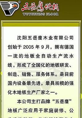 五岳鹰图片